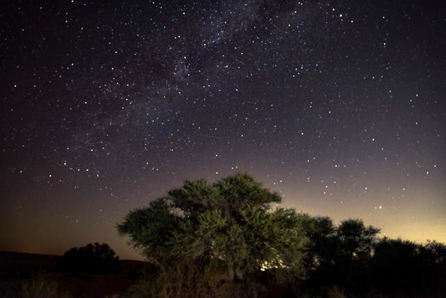 <p>The Milky Way galaxy appears as a Perseid meteor streaks across the sky above a camping site in the southern israel Negev desert near the Israeli village of Faran early on 12 August  2023</p>