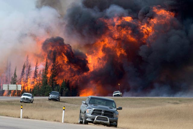 <p>A wildfire rages near Fort McMurray in Alberta in May 2016</p>