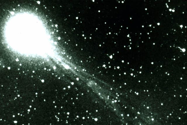 <p>Halley’s Comet in 1986 </p>
