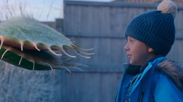 <p>John Lewis deliberately sets out to surprise with its Christmas ads... hence this year’s production centred on, of all things, a mischievous Venus flytrap</p>