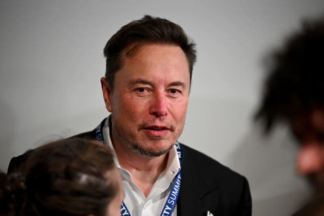 Elon Musk believes the danger of AI is that it could become ‘anti-human’ (Toby Melville/PA)