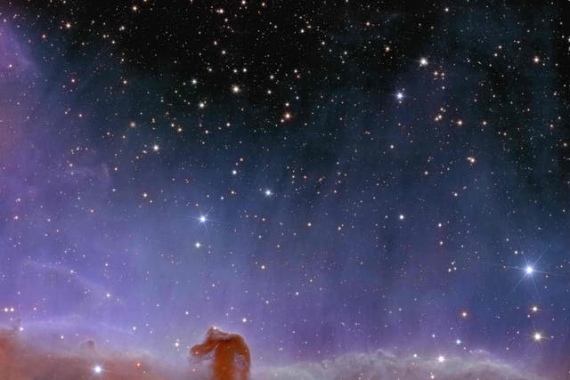 <p>Euclid shows us a spectacularly panoramic and detailed view of the Horsehead Nebula, also known as Barnard 33 and part of the constellation Orion</p>