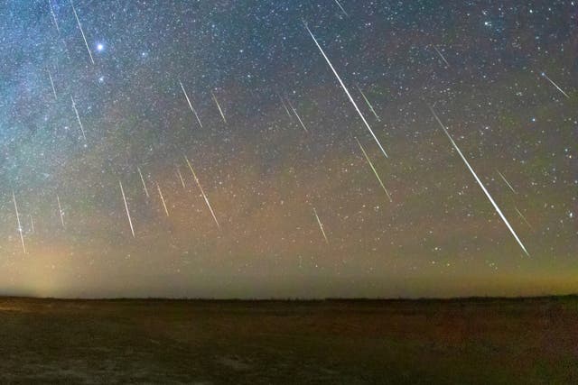 <p>The Geminid meteor shower will peak on 13-14 December, 2023</p>