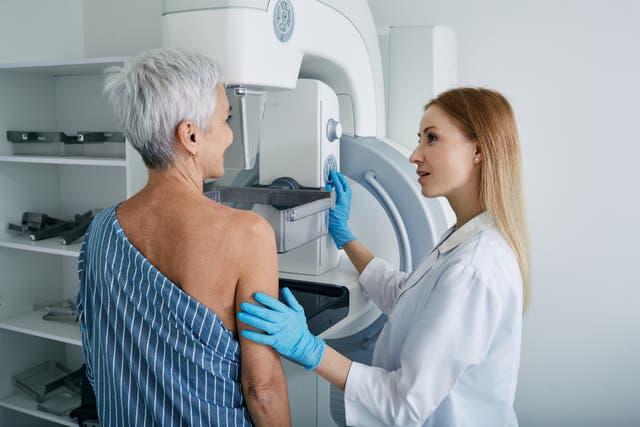 <p>Stock image of breast cancer scan </p>