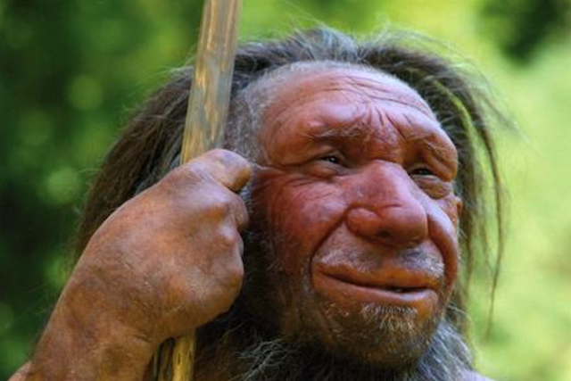 <p>File photo of neanderthal face reconstruction</p>